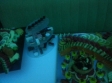 669 Br. Slatki stol